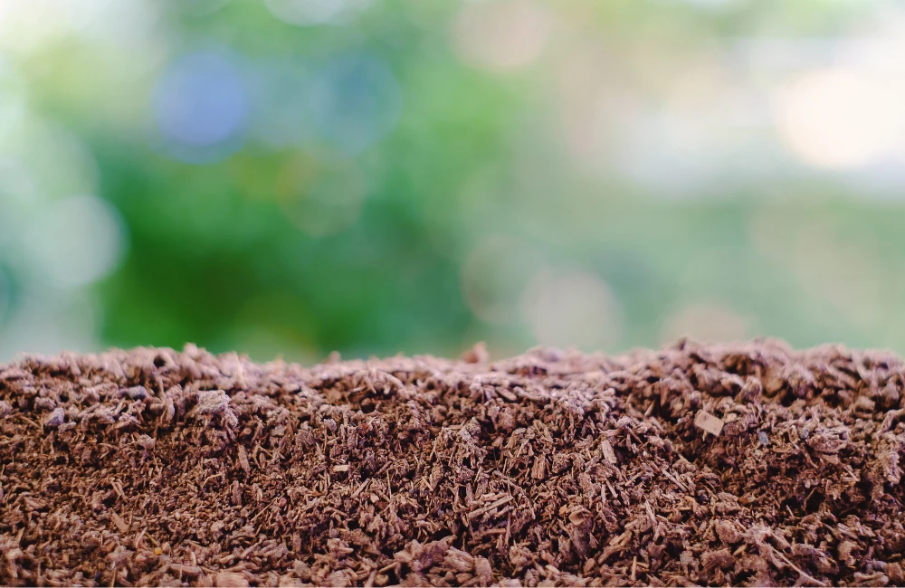 composition sol cations