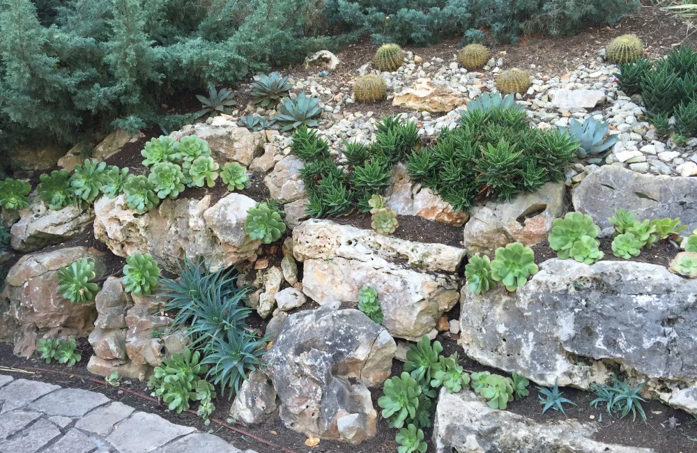 rocaille jardin mineral