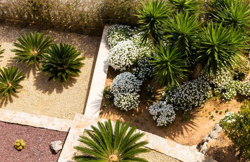 etapes creer jardin mediteranneen