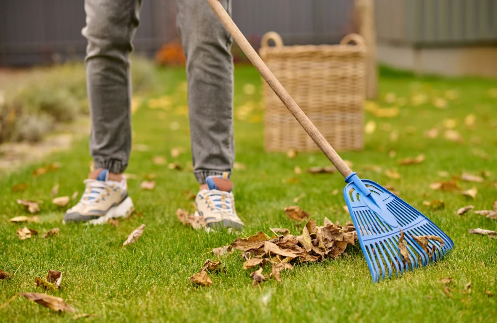 ramasser feuilles en octobre